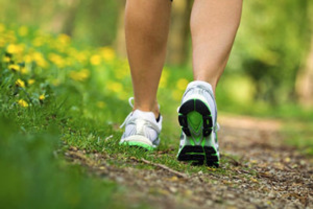 Walking Shoes Versus Running Shoes and Why the Difference Matters